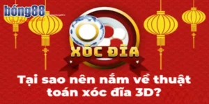 Thuật Toán Xóc Đĩa 3D